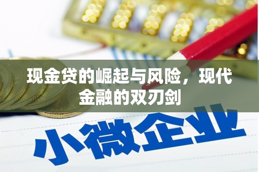 资兴现金贷的崛起与风险，现代金融的双刃剑