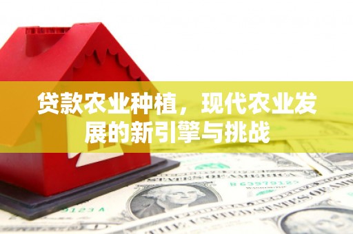 资兴贷款农业种植，现代农业发展的新引擎与挑战