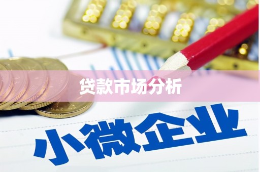 资兴贷款市场分析
