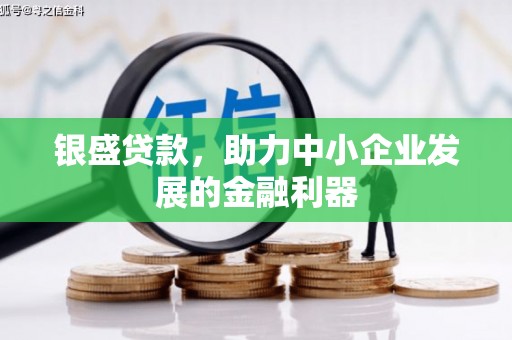 资兴银盛贷款，助力中小企业发展的金融利器