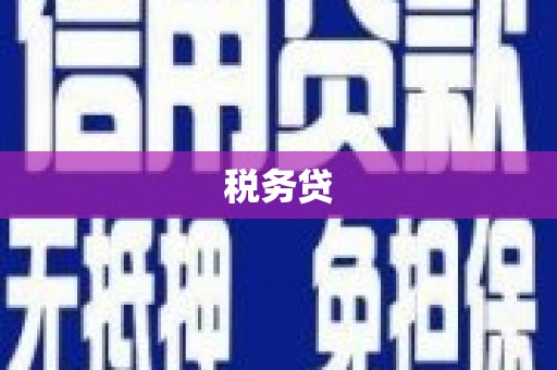 资兴税务贷