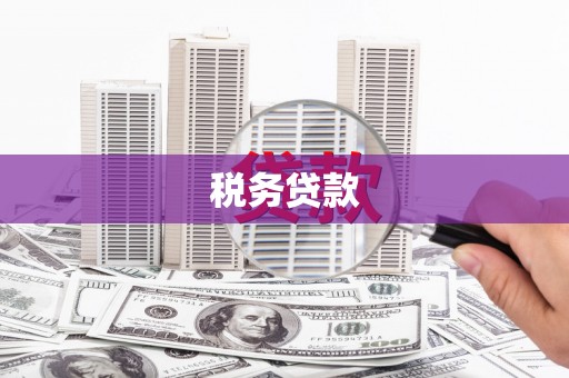 资兴税务贷款