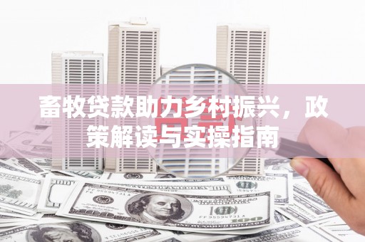资兴畜牧贷款助力乡村振兴，政策解读与实操指南