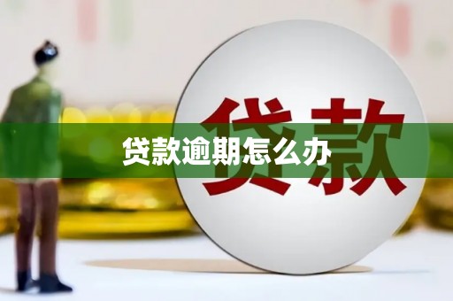 资兴贷款逾期怎么办