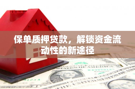 资兴保单质押贷款，解锁资金流动性的新途径