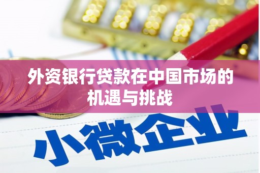 资兴外资银行贷款在中国市场的机遇与挑战