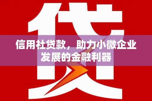 资兴信用社贷款，助力小微企业发展的金融利器