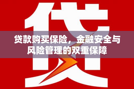 资兴贷款购买保险，金融安全与风险管理的双重保障
