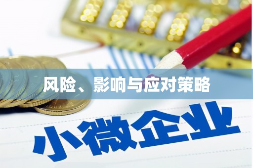 资兴风险、影响与应对策略
