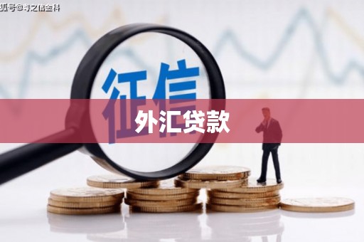资兴外汇贷款
