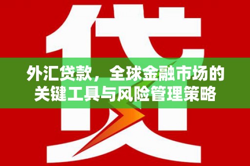 资兴外汇贷款，全球金融市场的关键工具与风险管理策略
