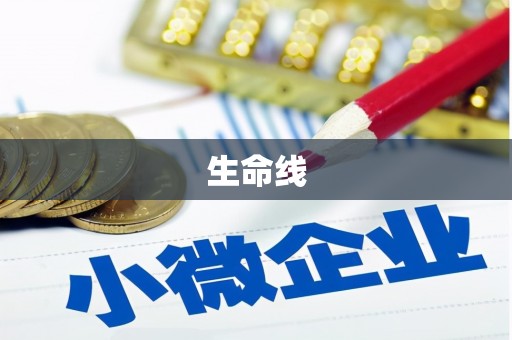 资兴生命线