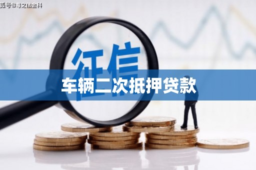 资兴车辆二次抵押贷款