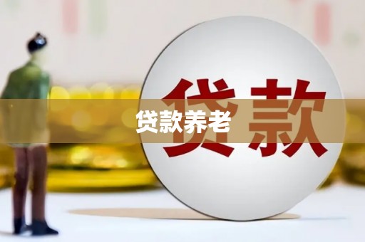 资兴贷款养老