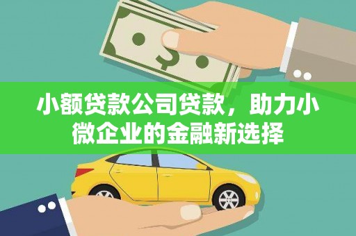 资兴小额贷款公司贷款，助力小微企业的金融新选择