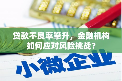 资兴贷款不良率攀升，金融机构如何应对风险挑战？