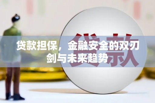 资兴贷款担保，金融安全的双刃剑与未来趋势