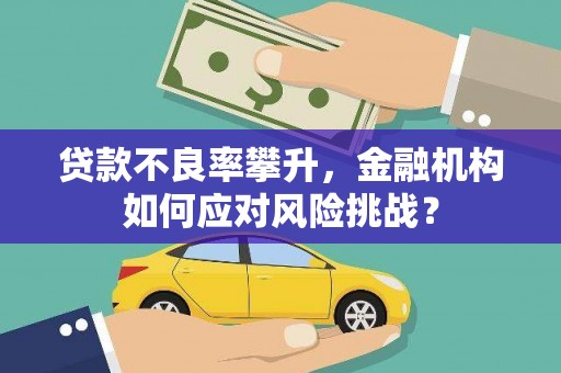 资兴贷款不良率攀升，金融机构如何应对风险挑战？