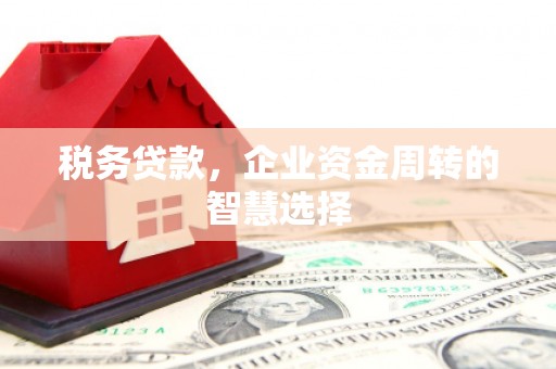 资兴税务贷款，企业资金周转的智慧选择