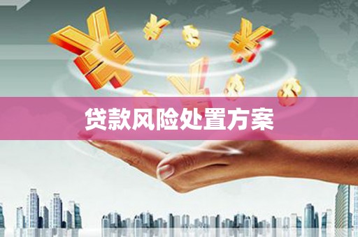 资兴贷款风险处置方案