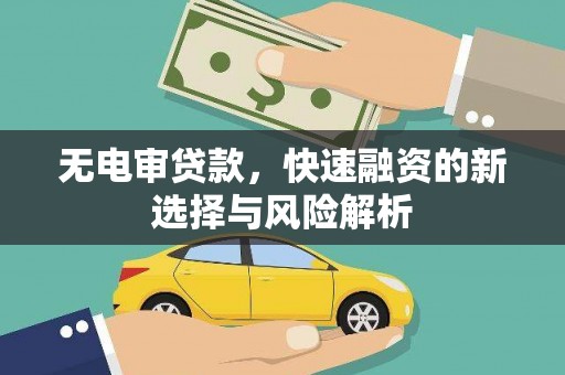 资兴无电审贷款，快速融资的新选择与风险解析