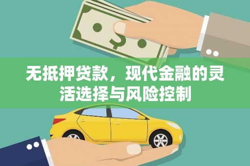 资兴无抵押贷款，现代金融的灵活选择与风险控制