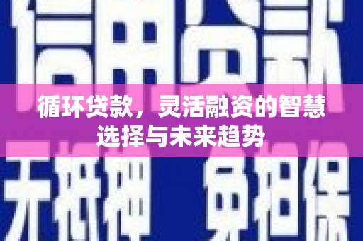 资兴循环贷款，灵活融资的智慧选择与未来趋势