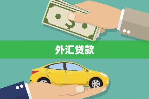 资兴外汇贷款