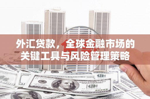 资兴外汇贷款，全球金融市场的关键工具与风险管理策略