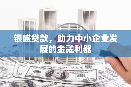 资兴银盛贷款，助力中小企业发展的金融利器