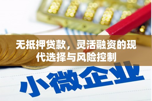 资兴无抵押贷款，灵活融资的现代选择与风险控制
