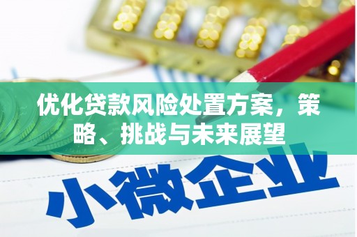 资兴优化贷款风险处置方案，策略、挑战与未来展望