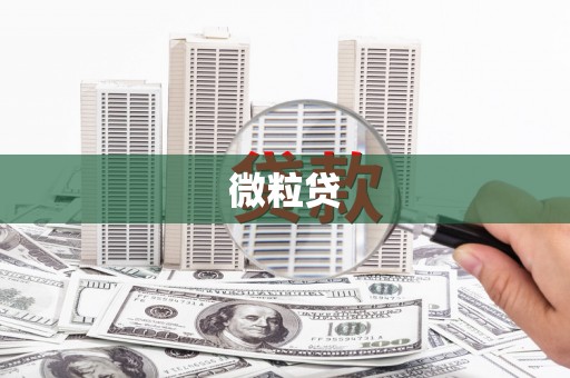资兴微粒贷
