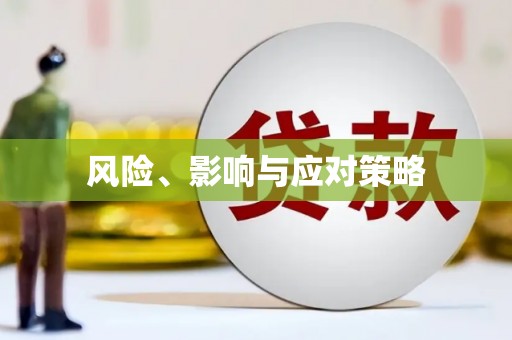 资兴风险、影响与应对策略