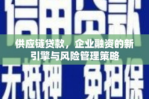 资兴供应链贷款，企业融资的新引擎与风险管理策略