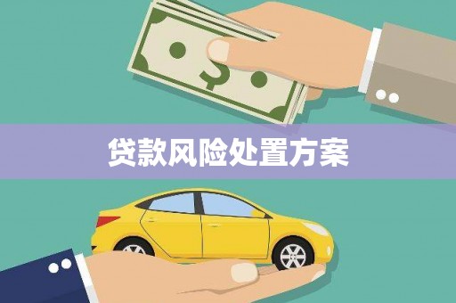 资兴贷款风险处置方案