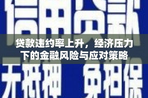 资兴贷款违约率上升，经济压力下的金融风险与应对策略