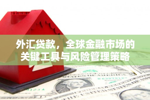 资兴外汇贷款，全球金融市场的关键工具与风险管理策略