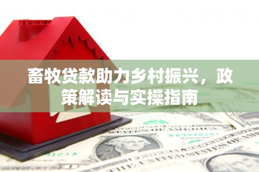 资兴畜牧贷款助力乡村振兴，政策解读与实操指南