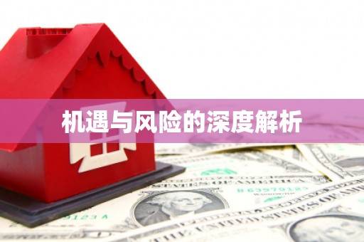 资兴机遇与风险的深度解析