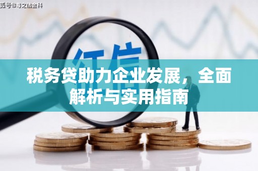 资兴税务贷助力企业发展，全面解析与实用指南