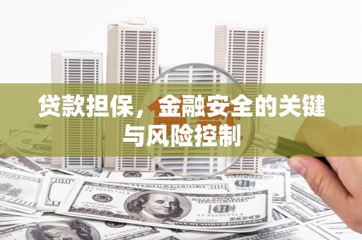 资兴贷款担保，金融安全的关键与风险控制