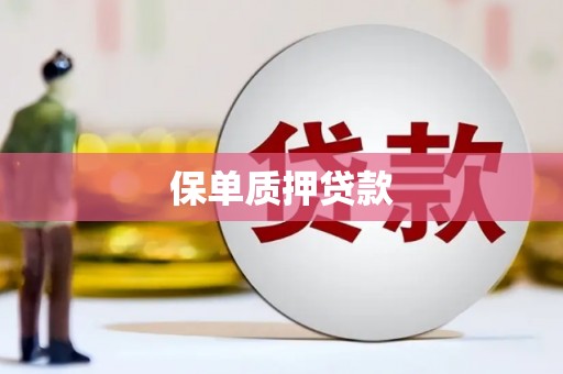 资兴保单质押贷款