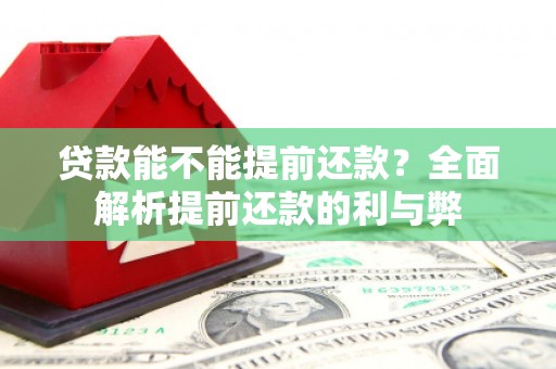 资兴贷款能不能提前还款？全面解析提前还款的利与弊