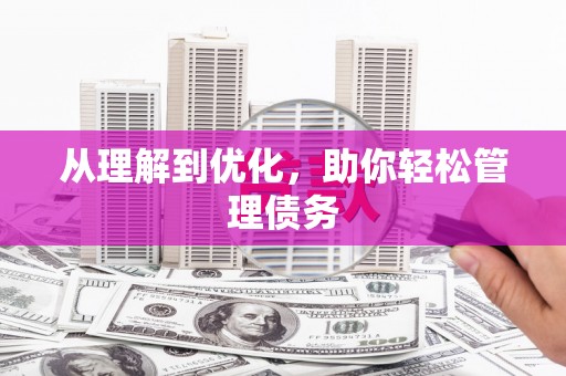 资兴从理解到优化，助你轻松管理债务