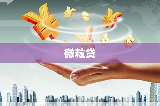 资兴微粒贷