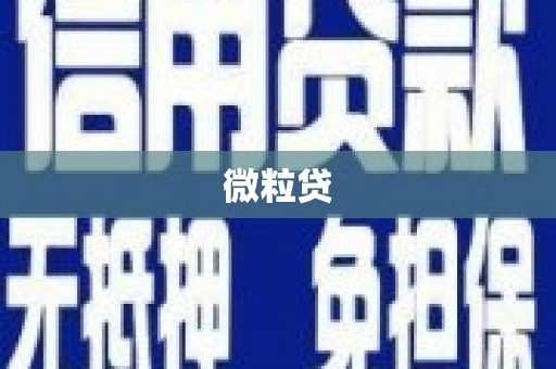 资兴微粒贷
