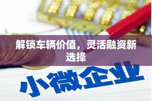 资兴解锁车辆价值，灵活融资新选择