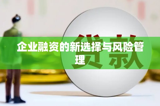 资兴企业融资的新选择与风险管理