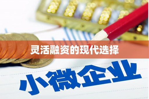 资兴灵活融资的现代选择